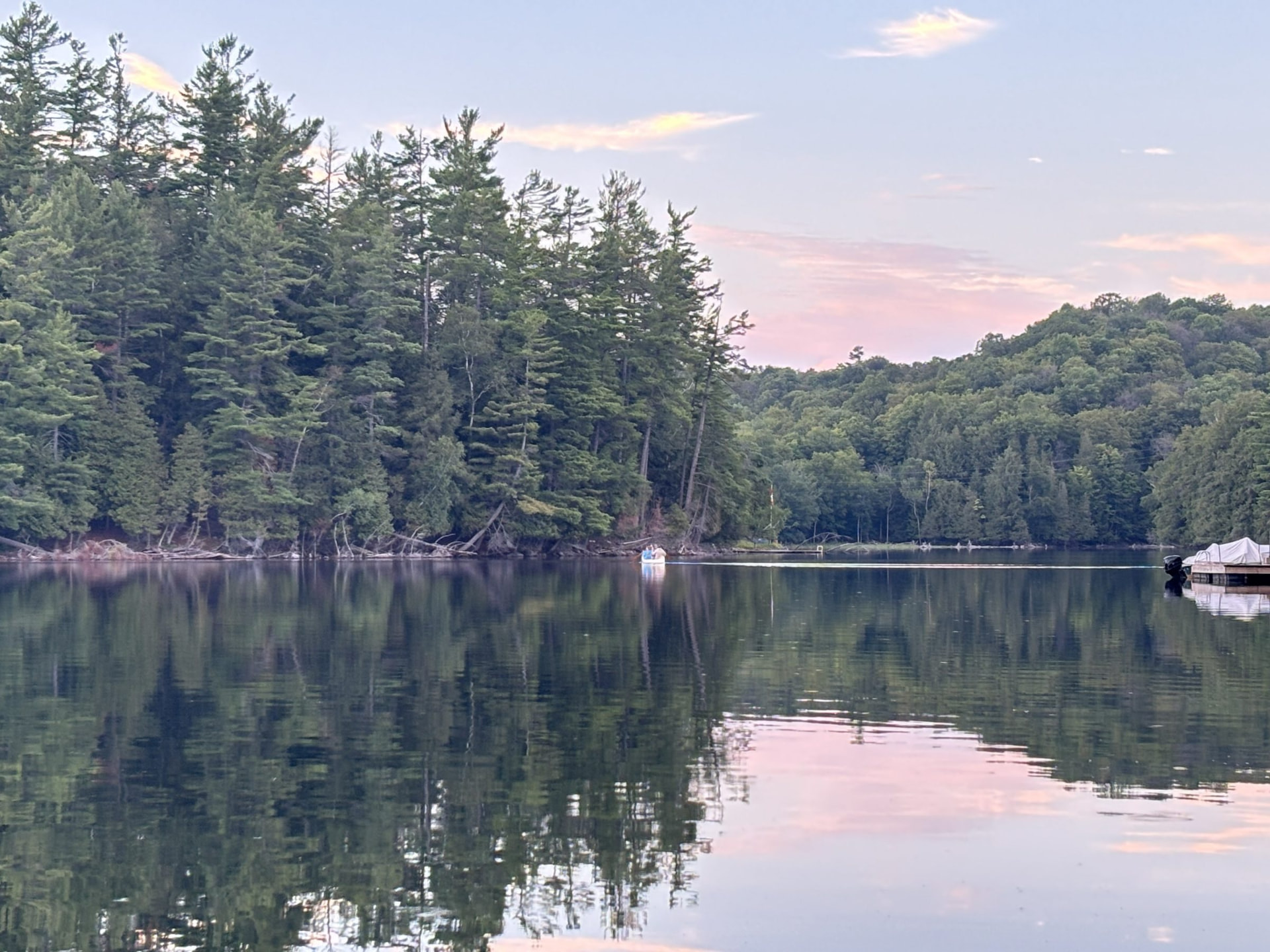 Calm lake at dusk, reflections of trees in still water